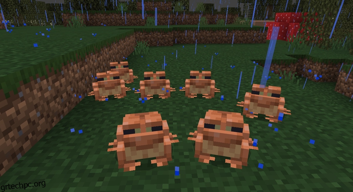 Minecraft Frogs: Πώς να τους βρείτε